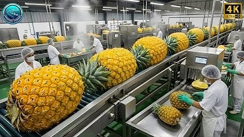 Inside a Modern Pineapple Processing Plant:From WholePineapples to Canned Golden Slices(FullProcess)