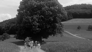 Die Linde von Linn am 24. Juni 1966