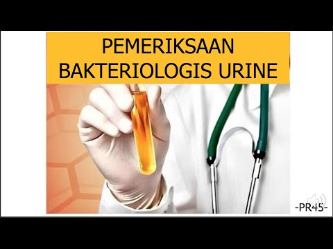 Video: Yang boleh digunakan sebagai penapis bakteriologi?