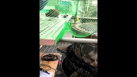 NDT IRIS Inspection (주)큐피드