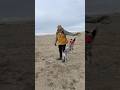 Cattle dog Seaside Oregon #cattledog #dogcoach #cattledogs #dogs #cute #herdingdogs #doglife