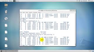 Famous Lecture5(RH134)-Manage Priority of Linux Processes Wealth
