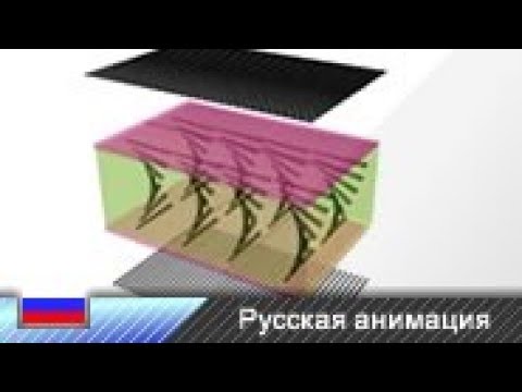 Бейне: LCD экран дегеніміз не?