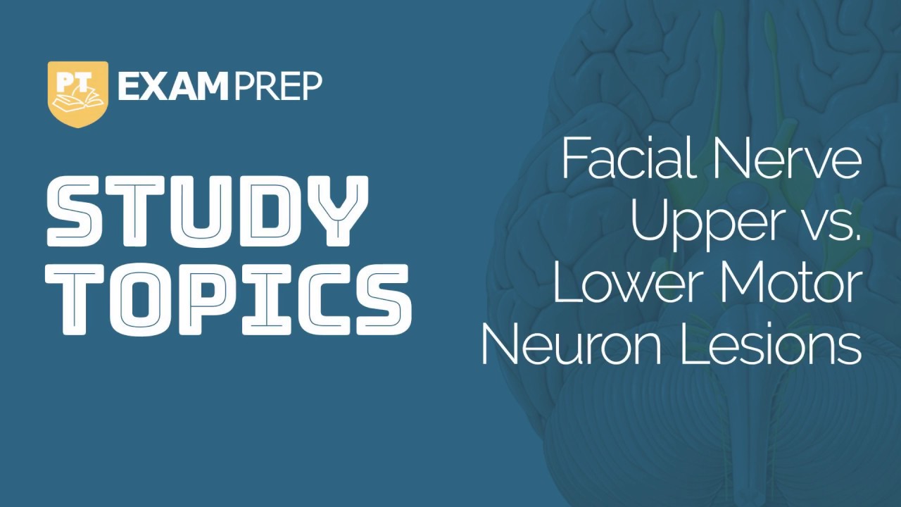 Study Topics: Facial Nerve Upper vs. Lower Motor Neuron Lesions