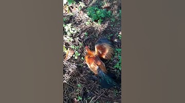 Ngày 14 tháng 11 năm 2019