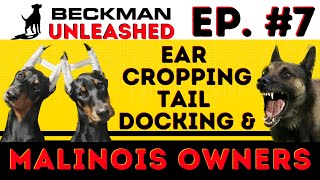 Ear Cropping, Tail Docking & Joel Goes Scorched Earth on Malinois Owners for Hating on his Clients.