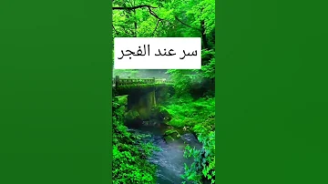 لا إله إلا الله محمد رسول الله فى كل لمحة ونفس عدد ماوسعه علم الله 