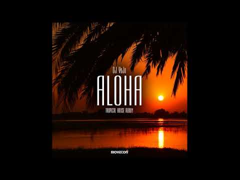 DJ VoJo — DJ VoJo - Saxophonia (Original Mix)