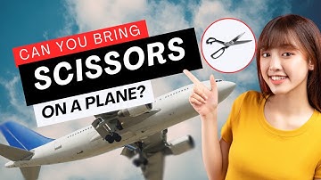 Can You Bring Scissors on Airplane? TSA Scissors Guide!