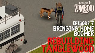 Rebuilding Tanglewood [Episode 7] - Bringing Home Boomer I Project Zomboid