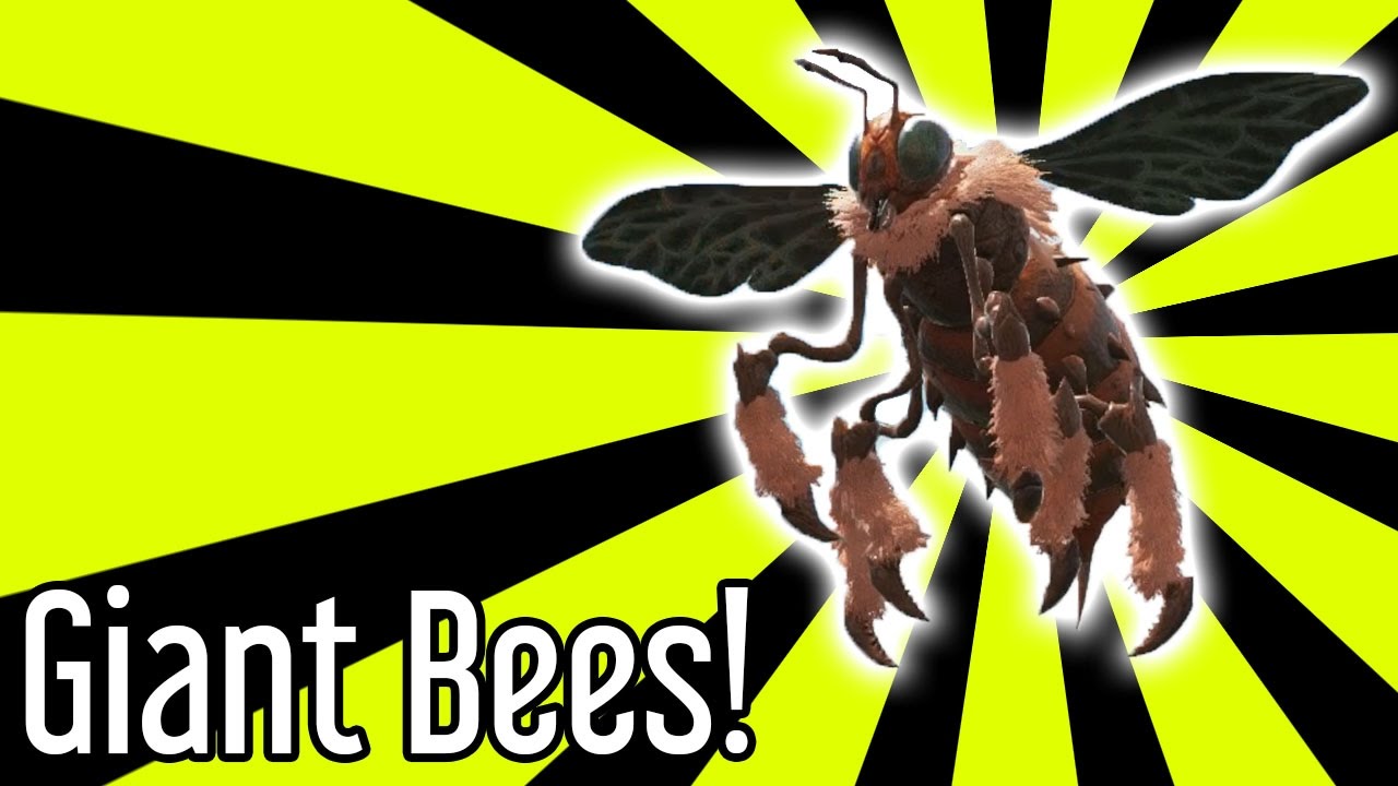 Giant Bee Guide for ARK Survival Evolved YouTube