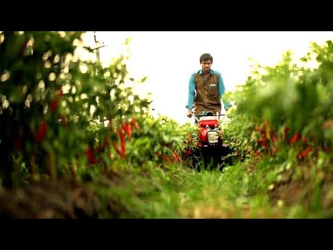 Video: Agrotechnics Of Natural Farming - APZ