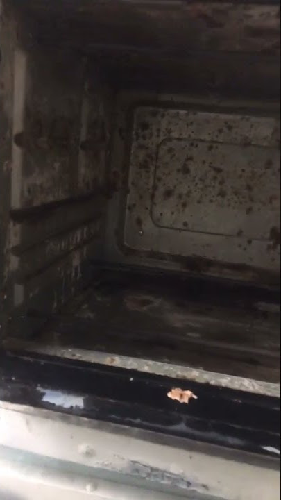 Você já limpou seu forno elétrico hoje?