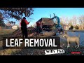 Leaf Removal Cleanup (Time Lapse - Oddly Satisfying) ECHO PB 8010 + Leaf Plow &amp; BillyGoat Loader
