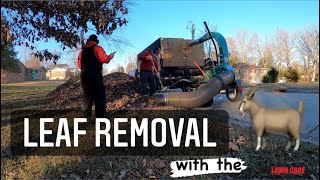 Leaf Removal Cleanup (Time Lapse - Oddly Satisfying) ECHO PB 8010 + Leaf Plow & BillyGoat Loader