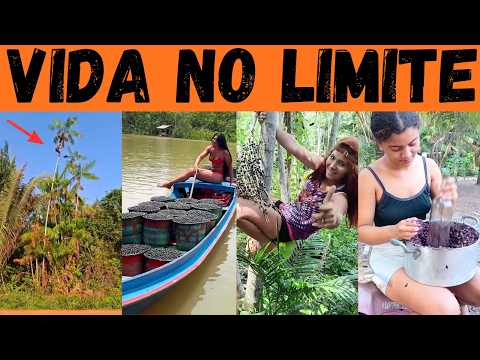 A VIDA BRUTA dos TIRADORES de AÇAÍ: o ouro negro da floresta.