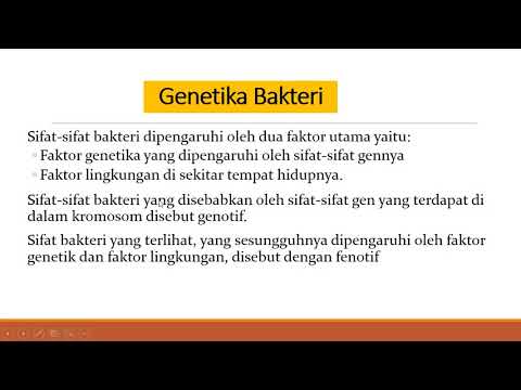 Genetika Bakteri