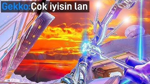 "İlk defa böyle bir Sova görüyorum!"