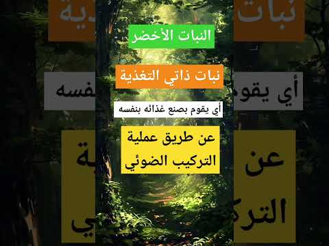 النبات الأخضر تصنيع المادة العضوية  