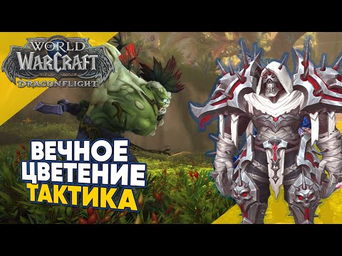 ВЕЧНОЕ ЦВЕТЕНИЕ ТАКТИКА мифик плюс 3 сезон World of Warcraft Dragonflight патч 10.2