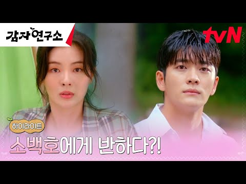 2화 하이라이트｜<strong>이선빈</strong>, 앙숙 강태오와의 뽀뽀에 피어오르는 묘한 감정?! #감자연구소 EP.2