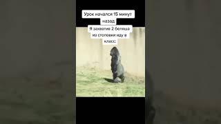 когда начался урок. мем про столовую и школу