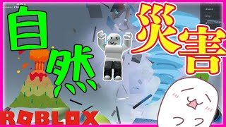 はなくまです❣️0926 Harley-Davidson 1974 XLCH ⁡ New single 「NEEDSゼロの投げキッス