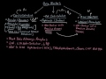 Major classes of cardiovascular medications