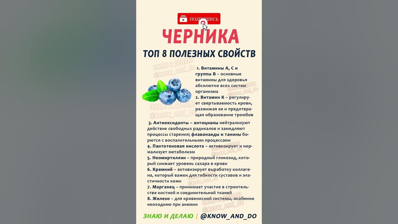 Черника витамины. Черника польза для человека женщины после 60. Чем полезна черника для женщин после 50 лет. Голубика польза и вред для здоровья. Черника польза для человека женщины после 60.
