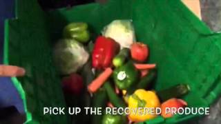 UC Davis Student Health and Counseling Fruit and Veggie Up! Program