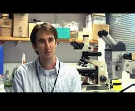 Adrian Glover on travelling to Antarctica | Natura...