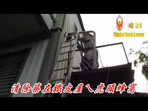 清除築在鐵皮屋ㄟ虎頭蜂窩060925