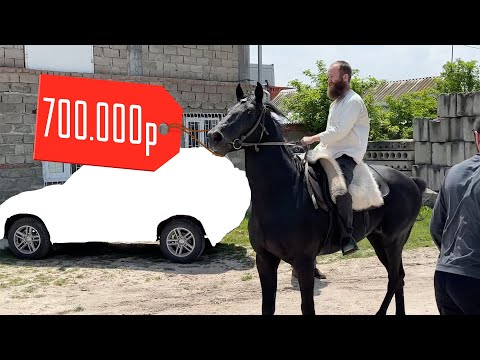 Видео: Нашли и Купили лошадей на Кавказе |  Выпуск 2
