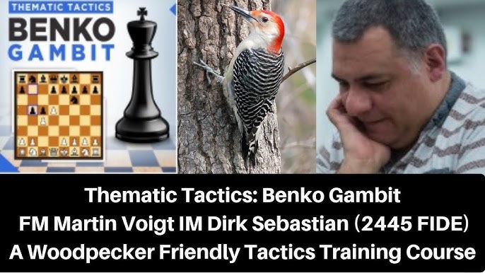 Chess Tactics: Tactical Epithany - the relationship between Tempo Gaining  and Pinning 