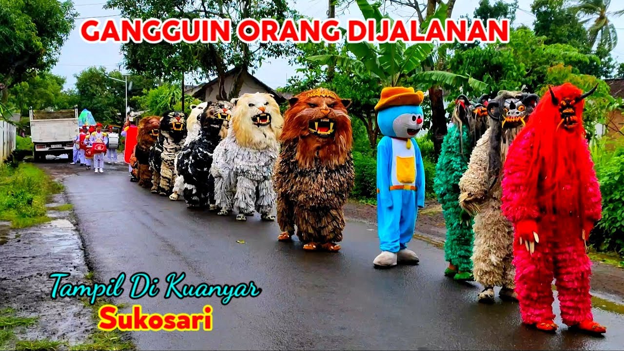 Can Macanan Singo Raung Cilik Di undang Acara Karnaval FASHION Tampil Di KUANYAR Sukosari