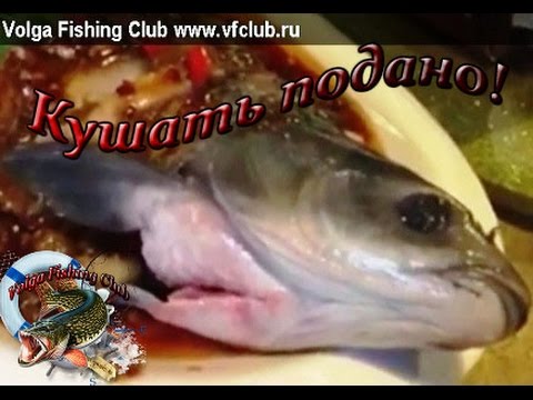 рыба зомби для рыбалки рыба зомби для рыбалки
