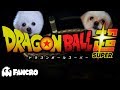 Dragon ball super  cover perruno opening 2