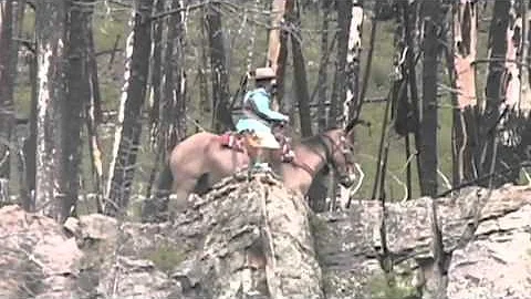 Sallee's Hunter