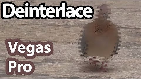 How to Deinterlace videos in Vegas Pro (Horizontal Lines, Double Image)