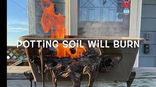 Fire in a potted plant