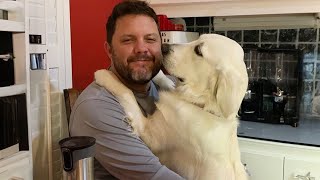 When Your Dog Brings You Feelings Of Love by Cute Pets TV 18,797 views 13 days ago 10 minutes, 2 seconds