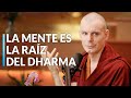 Carta a un amigo  lama rinchen gyaltsen todo es mente leccin 12