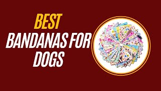 Bandanas for Dogs - Aliexpress Top 5 Bandanas for Dogs Review by Peta2z 21 views 5 months ago 3 minutes, 53 seconds