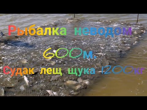 Рыбалка неводом 1200 кг.часть 2
