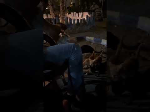 انت يلا شبشب مش متشاف