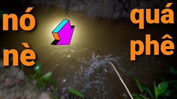 cấm câu cá lóc bằng dế nhủi cuối mùa mưa cá ăn thấy ham // fishinh weth in viet nam