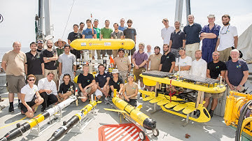 Web browser based system for tracking robots