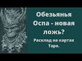 Обезьянья Оспа. Новая эпидемия или ложь? #таро #эпидемия  #расклад #обезьяньяоспа