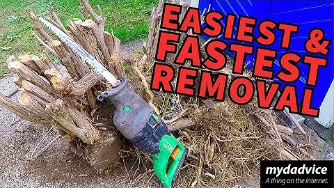 EASIEST & FASTEST Removal of Bush Stump