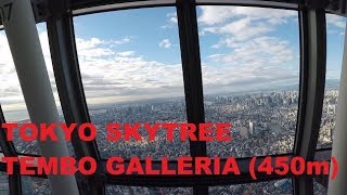 Tokyo Skytree - A Walk around the Tembo Galleria (450m) + Mount Fuji